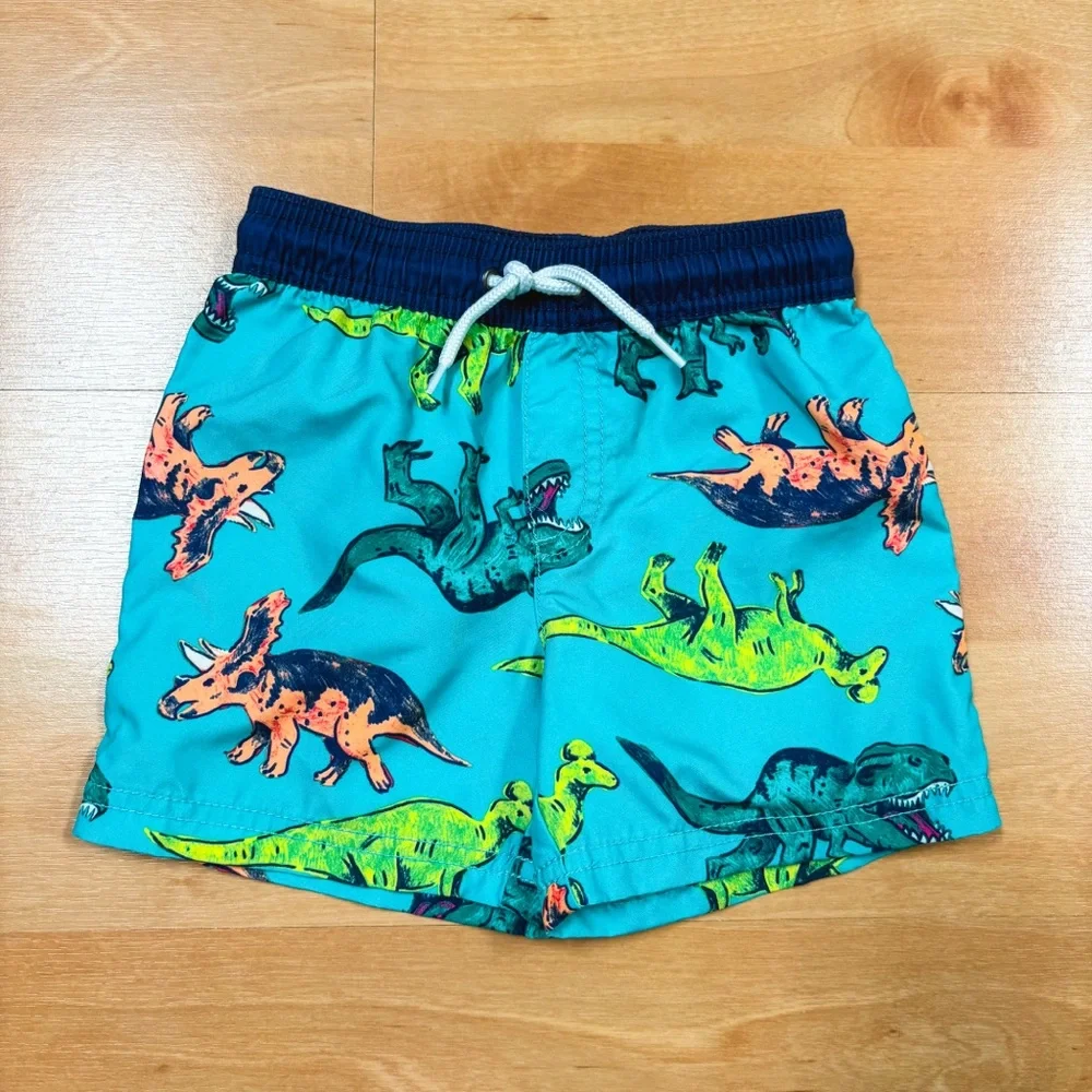Carters Blue & Green 2-Piece Dinosaur Long Sleeve Rashguard & Swim Trunk Set 24M